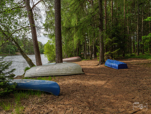 Kleine bunte Ruderboote liegen am Seeufer im Wald