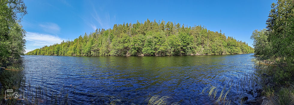 Ein See im Wald
