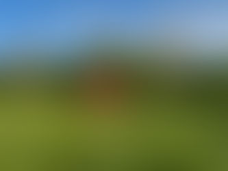 Typisch rotes Schwedenhäuschen auf einer Wiese im Wald