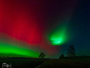 Polarlichter über den Feldern in Norddeutschland