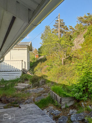 Schwedisches Ferienhaus, graues Holzhaus, Blick in den Garten