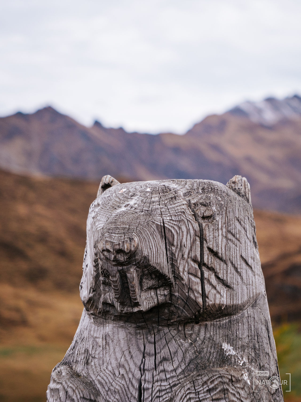 Kopf eines aus Holz geschnitzten Murmeltiers, im Hintergrund unscharf die Berge.