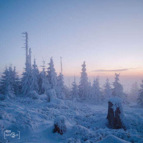 Verschneite Winterlandschaft in der Dämmerung.