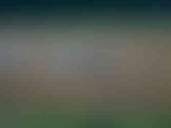 Kraniche auf einem Stoppelfeld