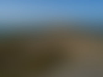 Ausblick auf die Schären