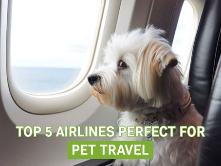 Simplifying Pet Travel: Top 5 Perfect Airlines For Your Furry Companions!