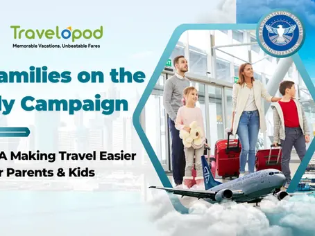 Families on the Fly Campaign - TSA Making Travel Easier For Parents & Kids