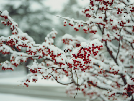 Kundalini Rising, Rebirth Of The Divine Child! - Jan. 14, 2025