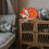Miniaturbild: Fox Wild Orange Lampe - Little Lights