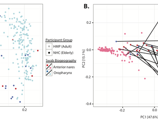 New publication: research on how the microbiome of the nose and throat change as we age