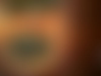 Puducherry and Auroville: Two Different Worlds at one place