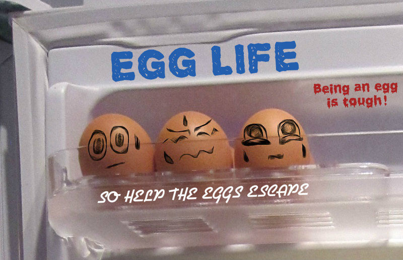 eggs2.jpg