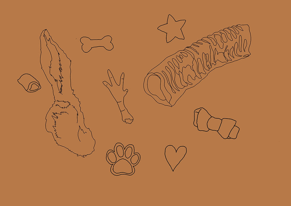 Feet, ears and everything in-between!