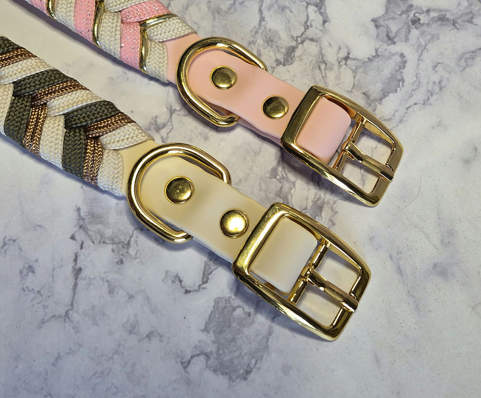 Miniature : Collier pour chien vert 