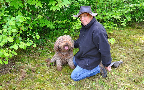 truffes