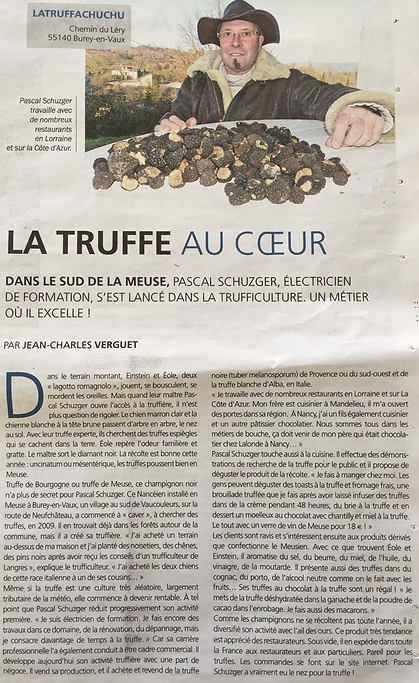 truffe