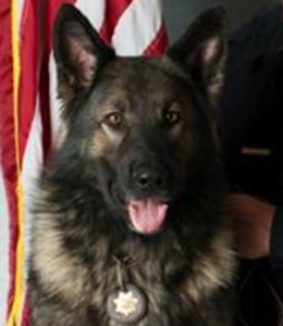 National Police Dog Foundation - Aris260x300-260x300.jpg