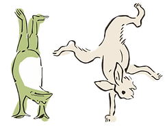 A frog and rabbit doing handstand together.
