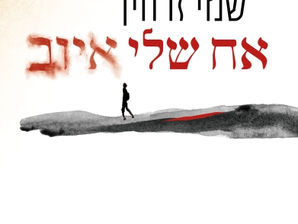 כמובן: עודד וולקשטיין על הביקורת של אריאנה מלמד (הארץ 13.6.17)