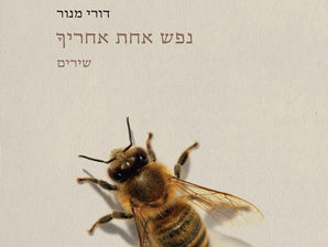 קרבה מתוך בחירה מול גילוי עריות: תגובה על ביקורות שירה בעיתונות