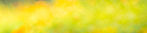 AdobeStock_361798698.jpeg