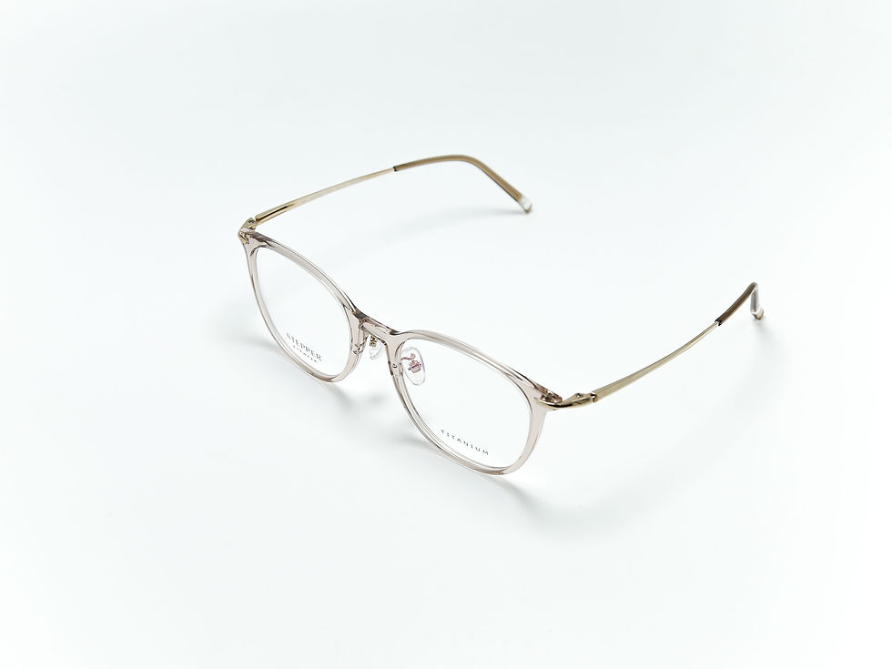 Thumbnail: กรอบแว่น STEPPER SA-73060 F110 51-19-140