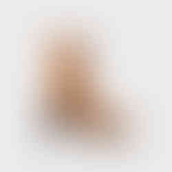 Brown Leather Lace-up Heeled Boots isolated on white background, fashion item.