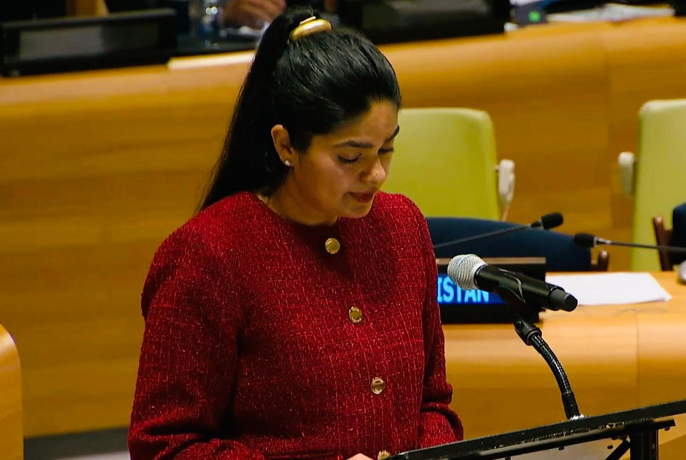 Dr. Deepshikha Kumari Vijh presenting the appeal at the UN High Level meeting