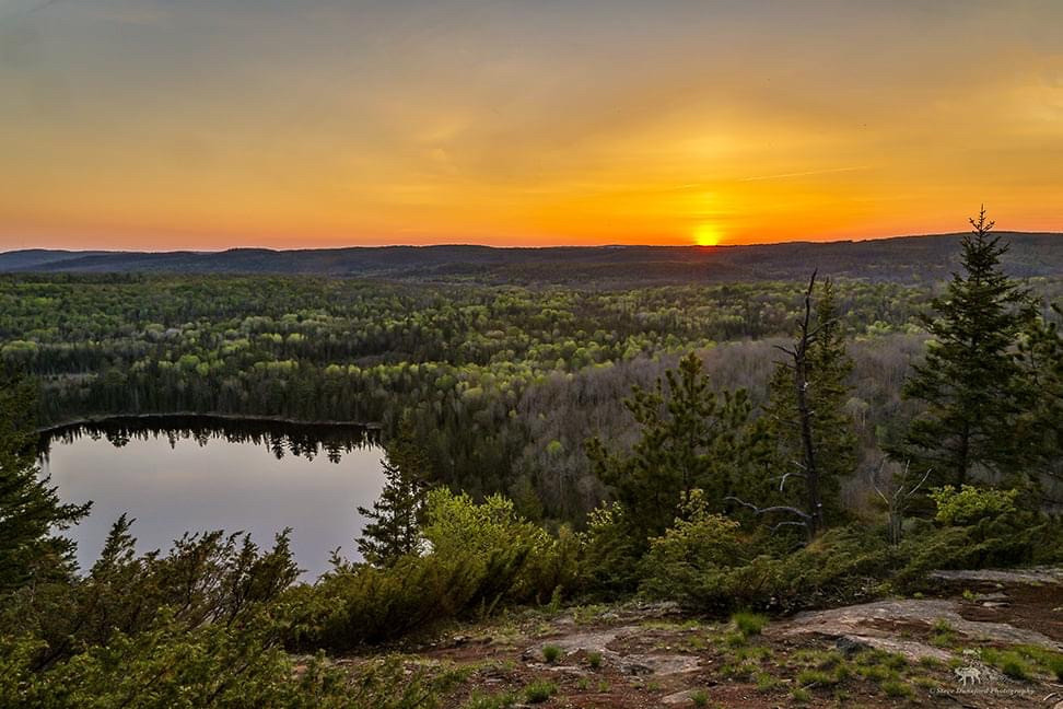 The sun sets over Algonquin Park forest with a small pond in the foreground