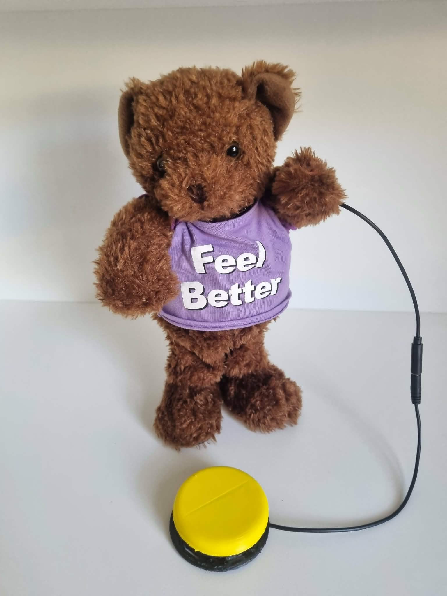 Switch Adapted Dancing Bear Toy for Kids with Disabilities – Cause and Effect –