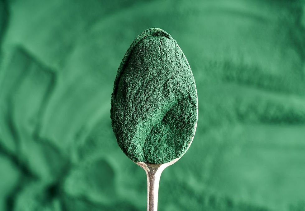 スピルリナパウダーをスプーンですくう