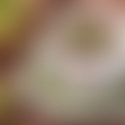 【最強】モリンガデトックス！老廃物を排出する驚きのメカニズム