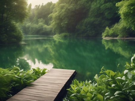 Discover the Health Benefits of Wild Goose Qi Gong
