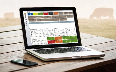 Programa UNIFORM-Agri para gestión de datos de ganadería ovina