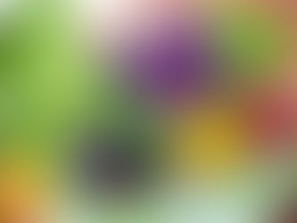 Press Release – Gardening Harmony