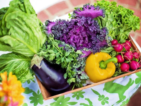 Press Release – Gardening Harmony