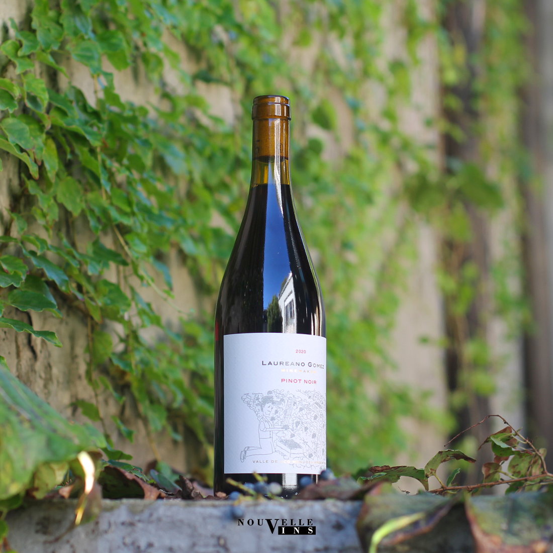 Laureano Gómez Pinot Noir