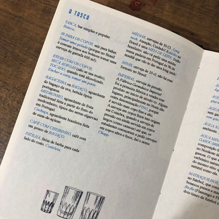 dicionário-luso-brasileiro4