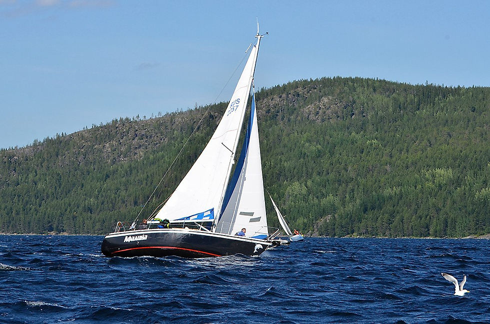 #sailonego #парусонего