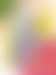 Registrando o meu mês em minilivros