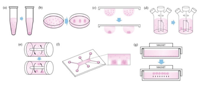 Techniques used to keep cell aggregates in suspension for spheroid tissue culture