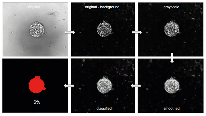 Sequence of modules used in the CellProfiler pipeline for measuring the area occupied by cells on the image