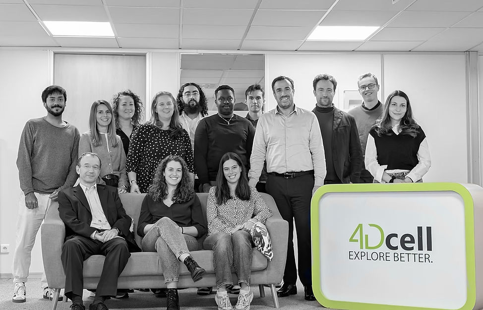4Dcell team B&W&G.jpg