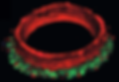 3D modelisation of the 4Dcell SmartHeart
