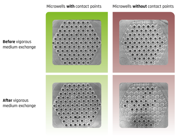 SmartSphero Anchoring Point Technology (APT®) reduces spheroid loss during medium exchange: less than 12% loss with APT versus 86% without anchoring