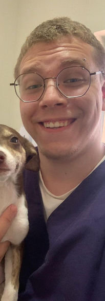 Filhote canino sorrindo para a foto depois dos seus exames de sangue