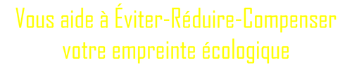 Sous-titre_MémoTopic_ERC.png