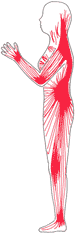 Fascia Woman