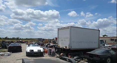 WhatsApp Image 2024-11-13 at 07.25.18_c83e0f84.jpg