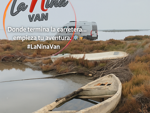 🚐 ¿Por qué hacer un road trip en camper?